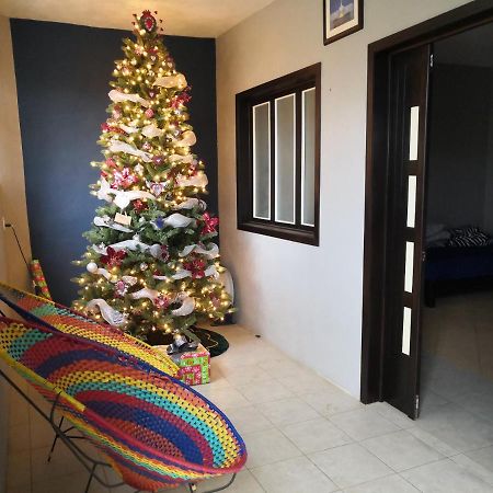 Oaxaca Montealban House B&B 외부 사진