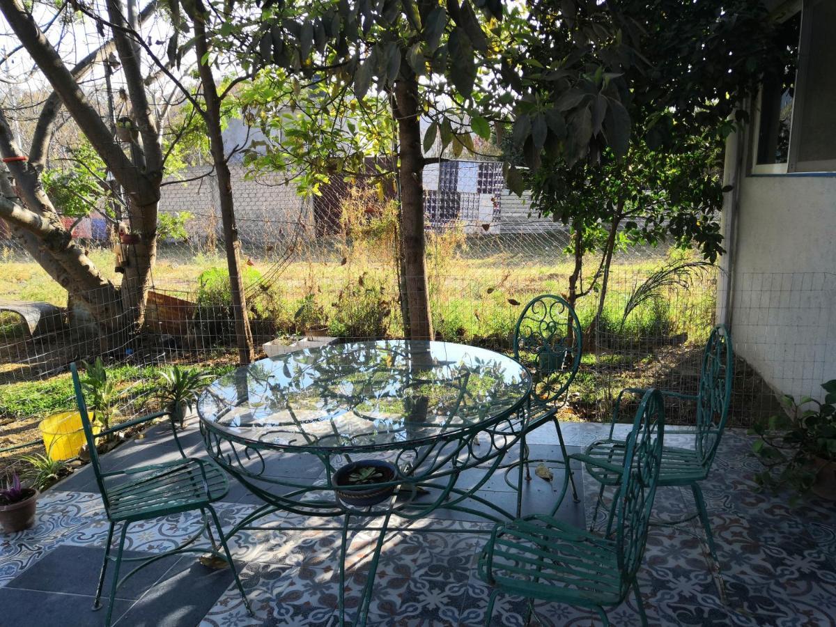 Oaxaca Montealban House B&B 외부 사진